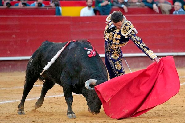 tortura para los animales
