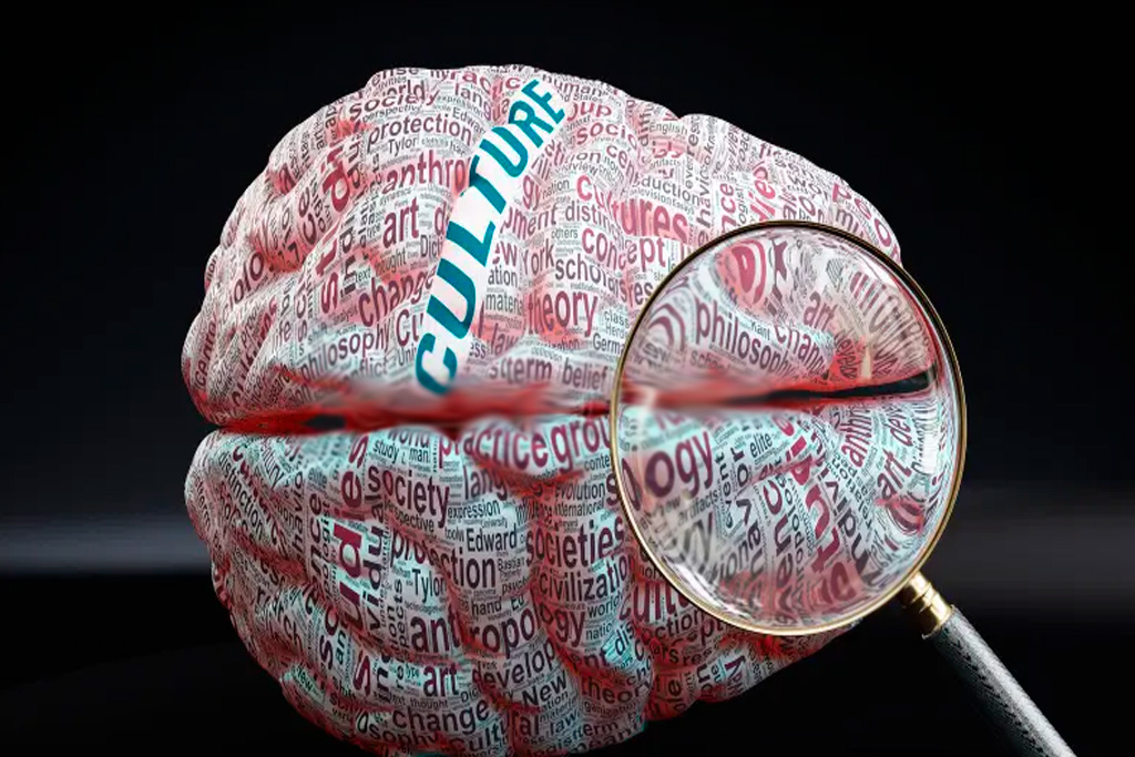 la cultura en el cerebro