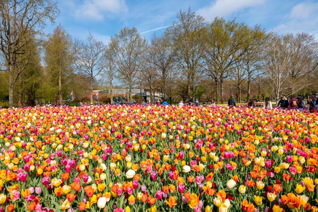 lo que debes saber sobre Holanda