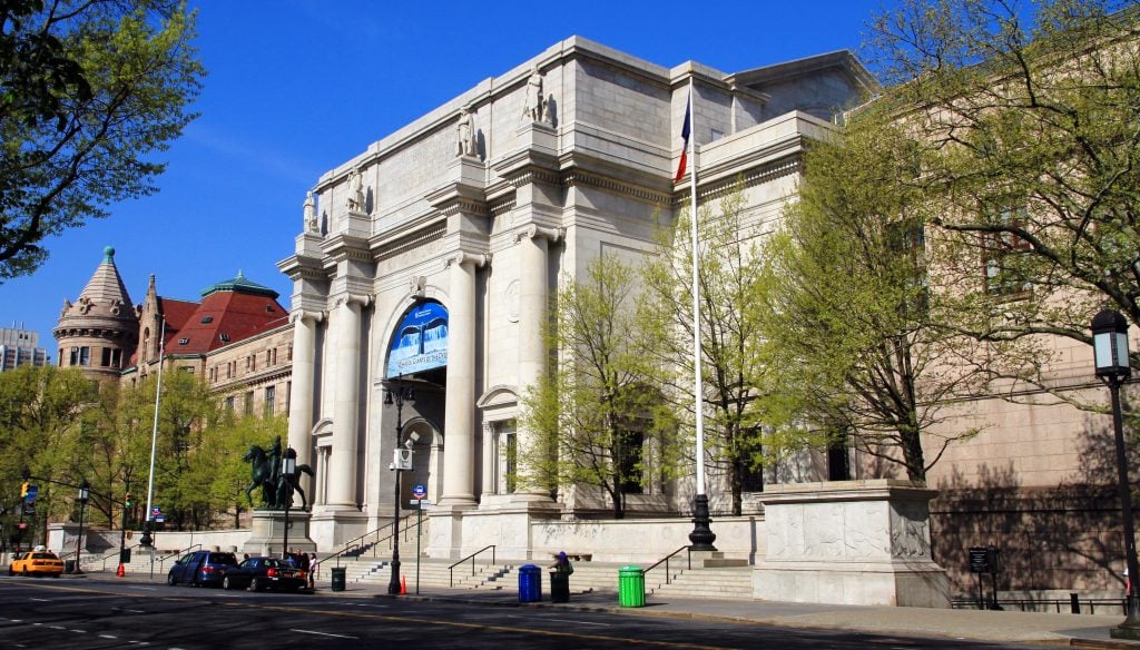 Museo Americano de Historia Natural (Nueva York) |: 6 mejores museos de historia natural del mundo | bayas de cerebro