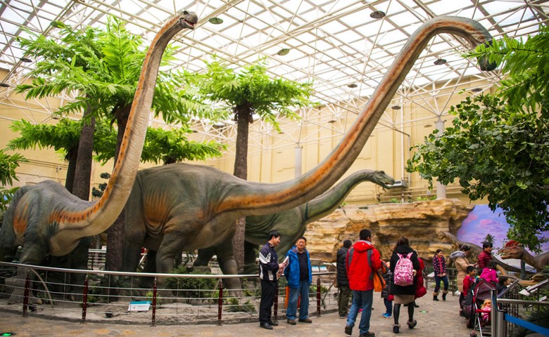 Museo de Historia Natural de Beijing (Beijing) por dentro |: 6 mejores museos de historia natural del mundo | bayas de cerebro