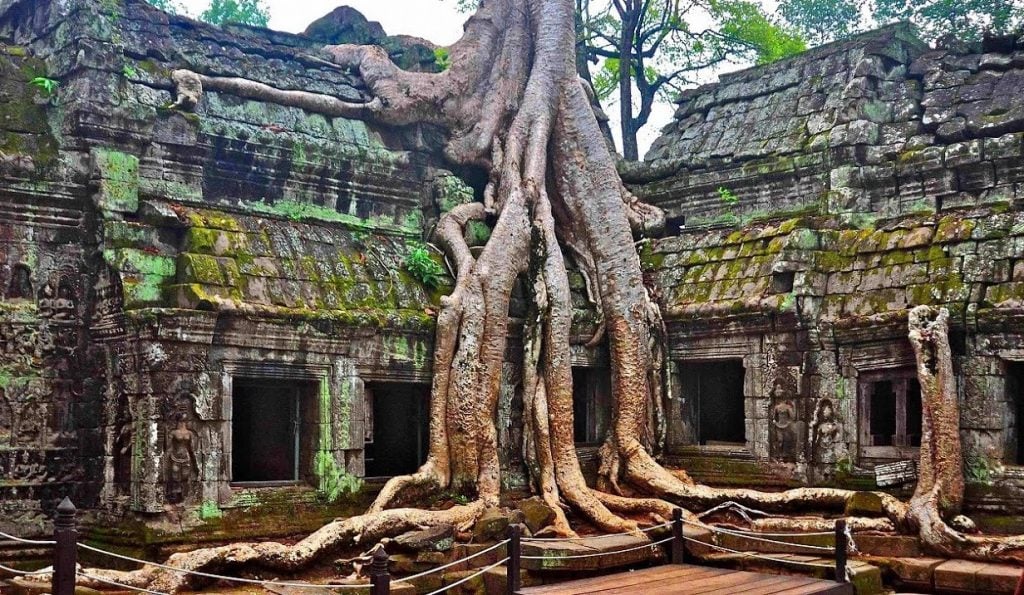 Templo de Ta Prohm, Camboya | 12 lugares para tomar fotografías más populares | bayas de cerebro