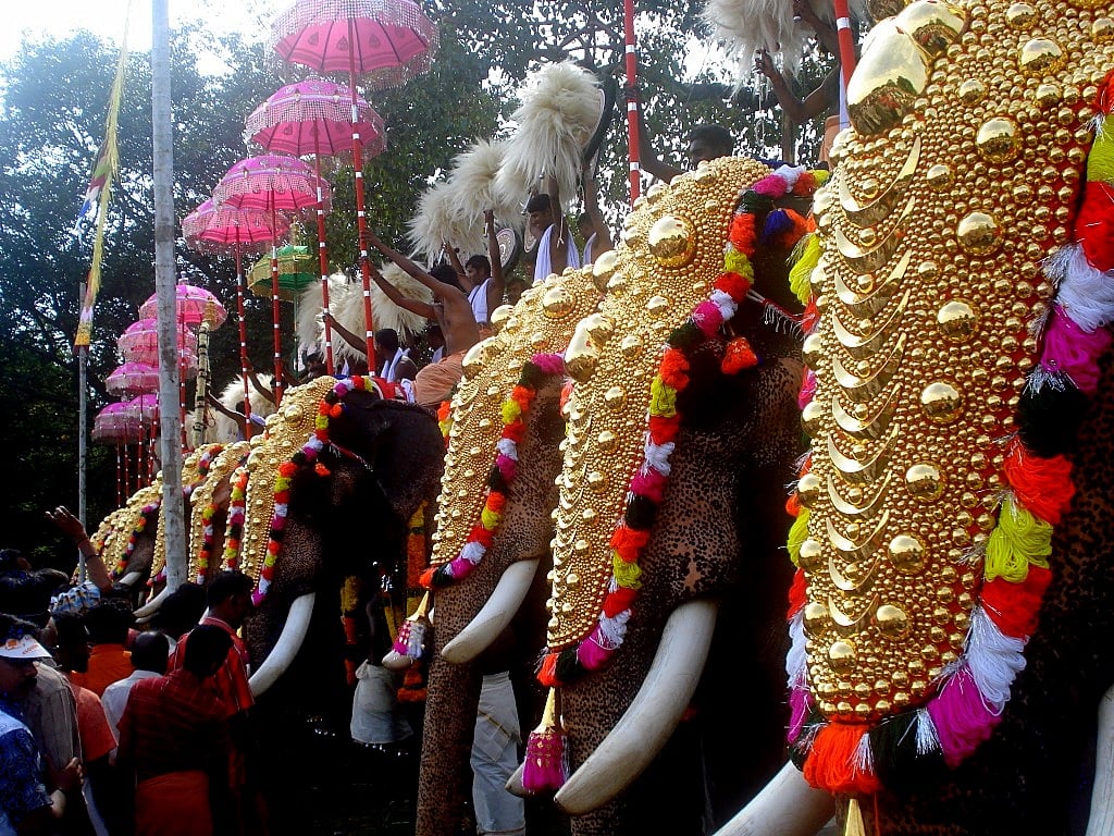 Festival de elefantes en India 3: