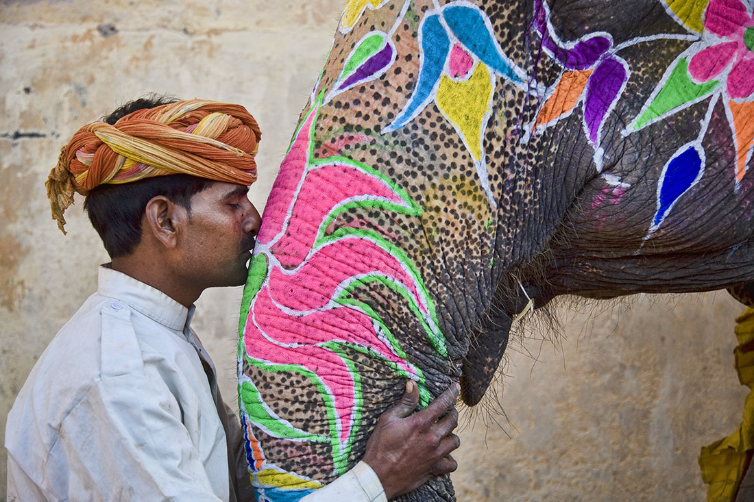 Festival de elefantes en India 4: