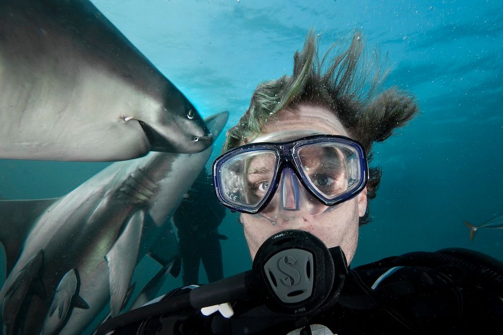 Snapting with Wild Animals es una nueva tendencia 13