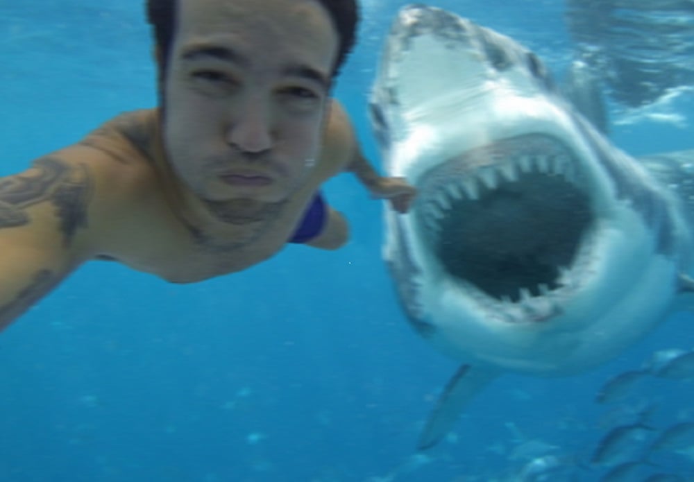 Snapting with Wild Animals es una nueva tendencia 14