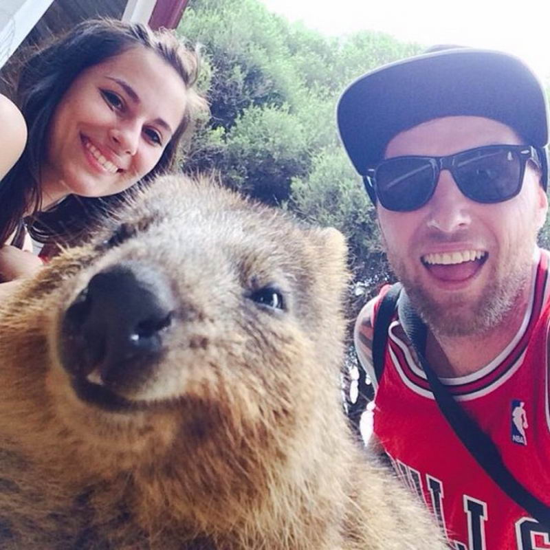 Snapting with Wild Animals es una nueva tendencia 16