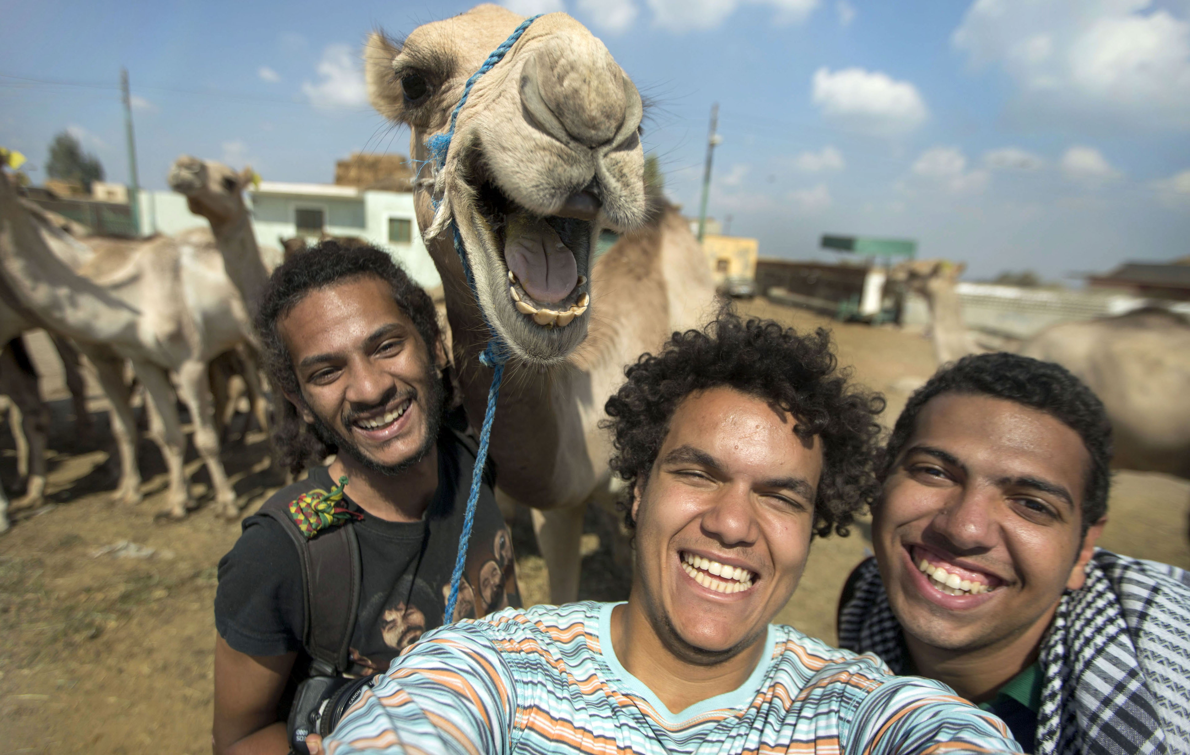 Pic, Hossam Antikka / Caters News - (En la foto de L Maissra Sallah, Hossam Antikka y Karim Abdelazi): estos orchas se han tomado en su propia foto, la foto divertida muestra a los residentes de un desierto feliz que sonríe por una cámara feliz. Capturado por Friends, 20, Stone Abdelaziz, 22, Misara Salah, de 24 años, Misara Salahs, de 24 años, aproximadamente media hora antes de decidir dejar a su amigo recién encontrado. Ver copia de Caters