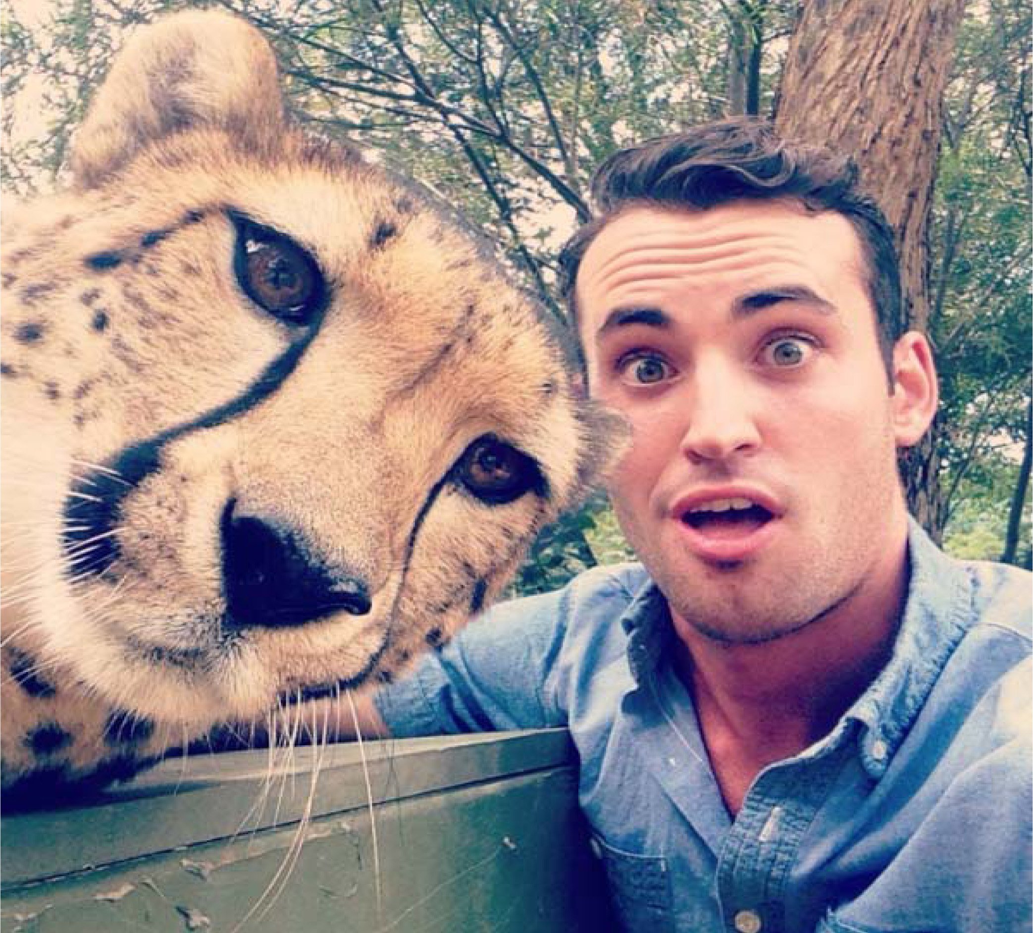 Snapting with Wild Animals es una nueva tendencia 27