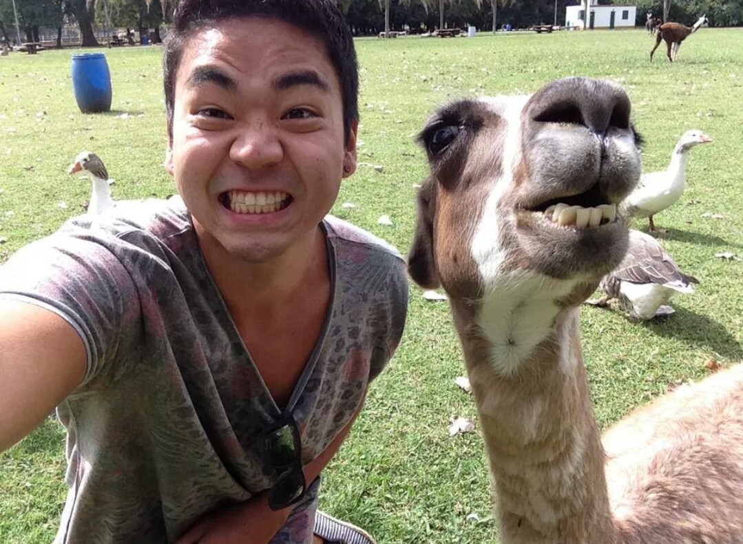 Snapping with Wild Animals es una nueva tendencia 9