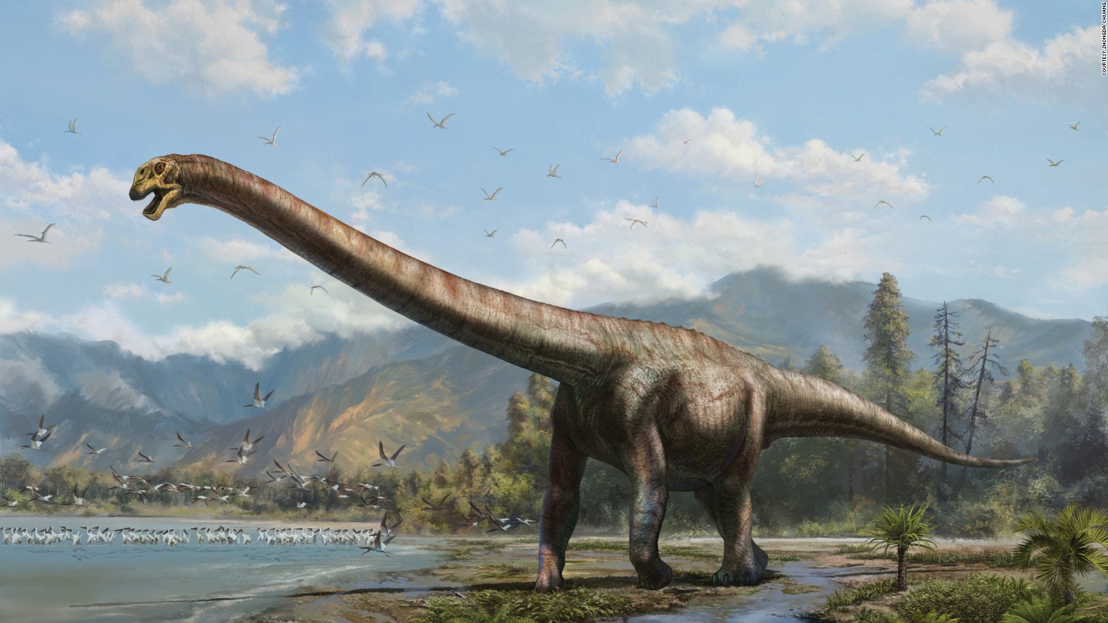 11) Mamenchisaurus