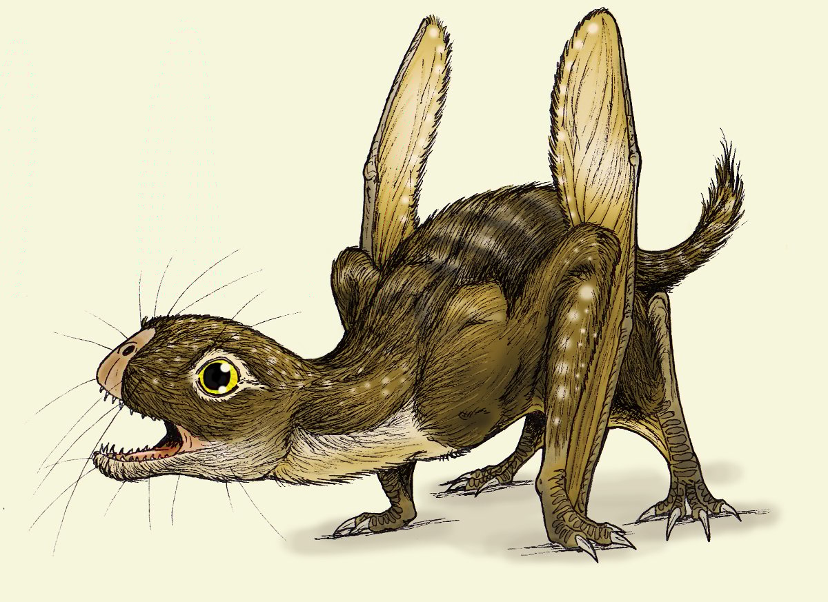 6) Howolopherus
