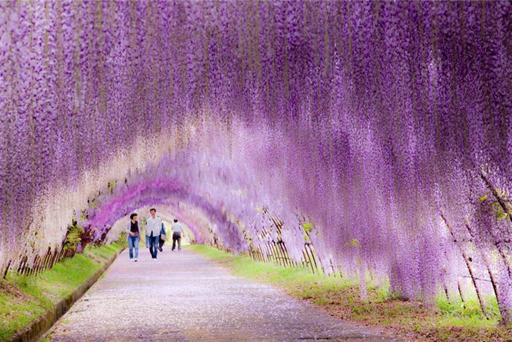 14 Diseños mentales de naturaleza extranjera y hermosa 32