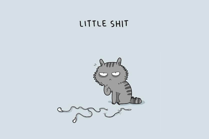 Cats de 12 type-that o will-make-smile -003