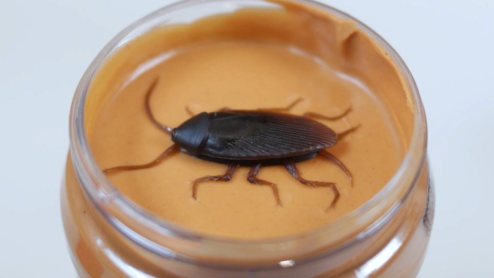 20-FACT-19-19 PEANUT-BUTAD