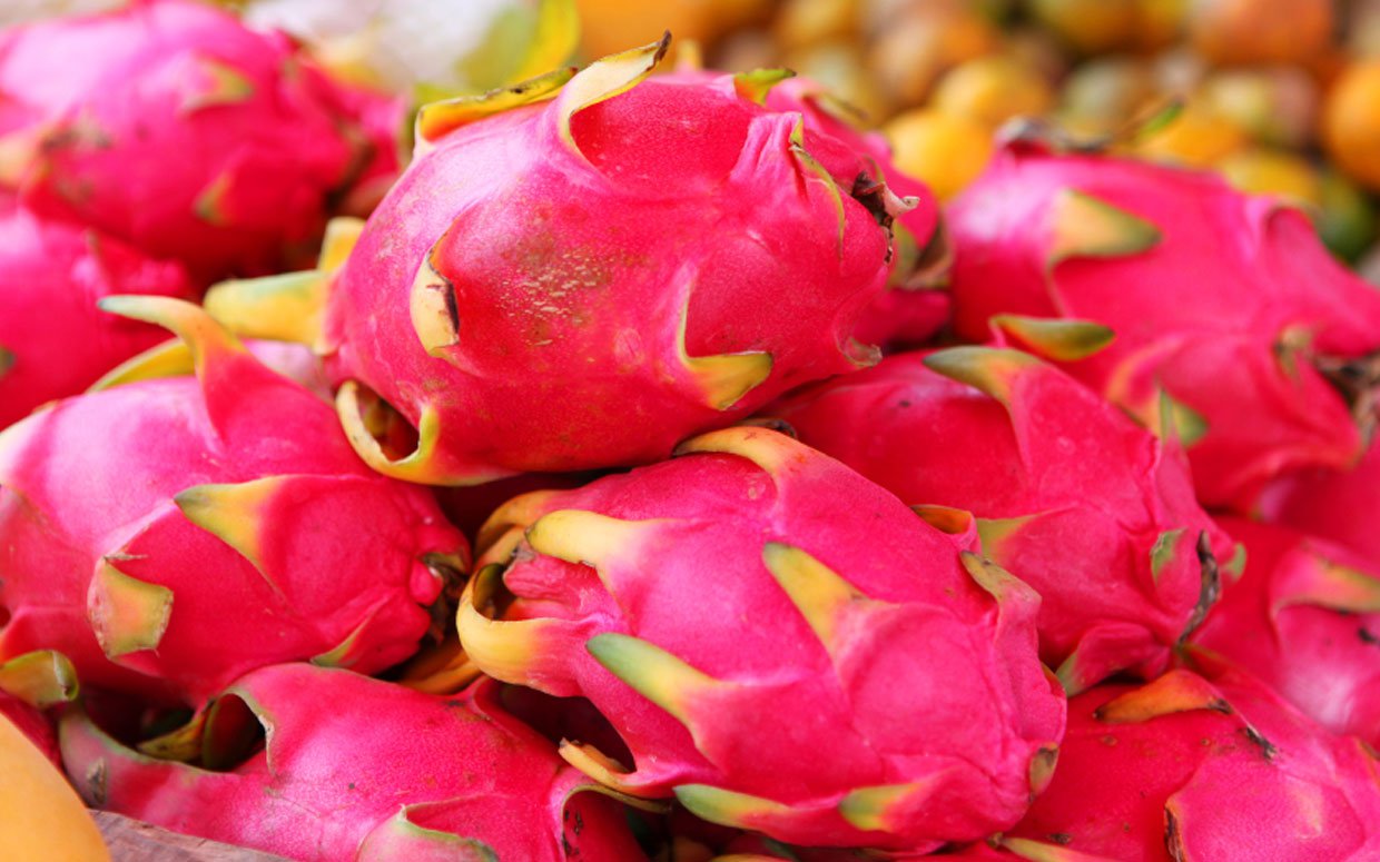 3: Dragon Fruit 1: