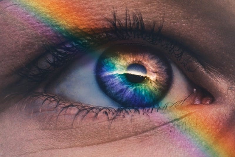 Nuestros ojos pueden ver 10 millones de colores diferentes | 6 Datos interesantes sobre el ojo humano | Bayas cerebrales