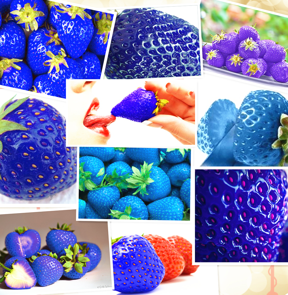 9. Fresas azules