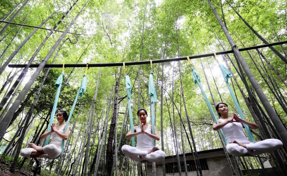 Bosque de bambú de yoga anti-peso (OMG) 7