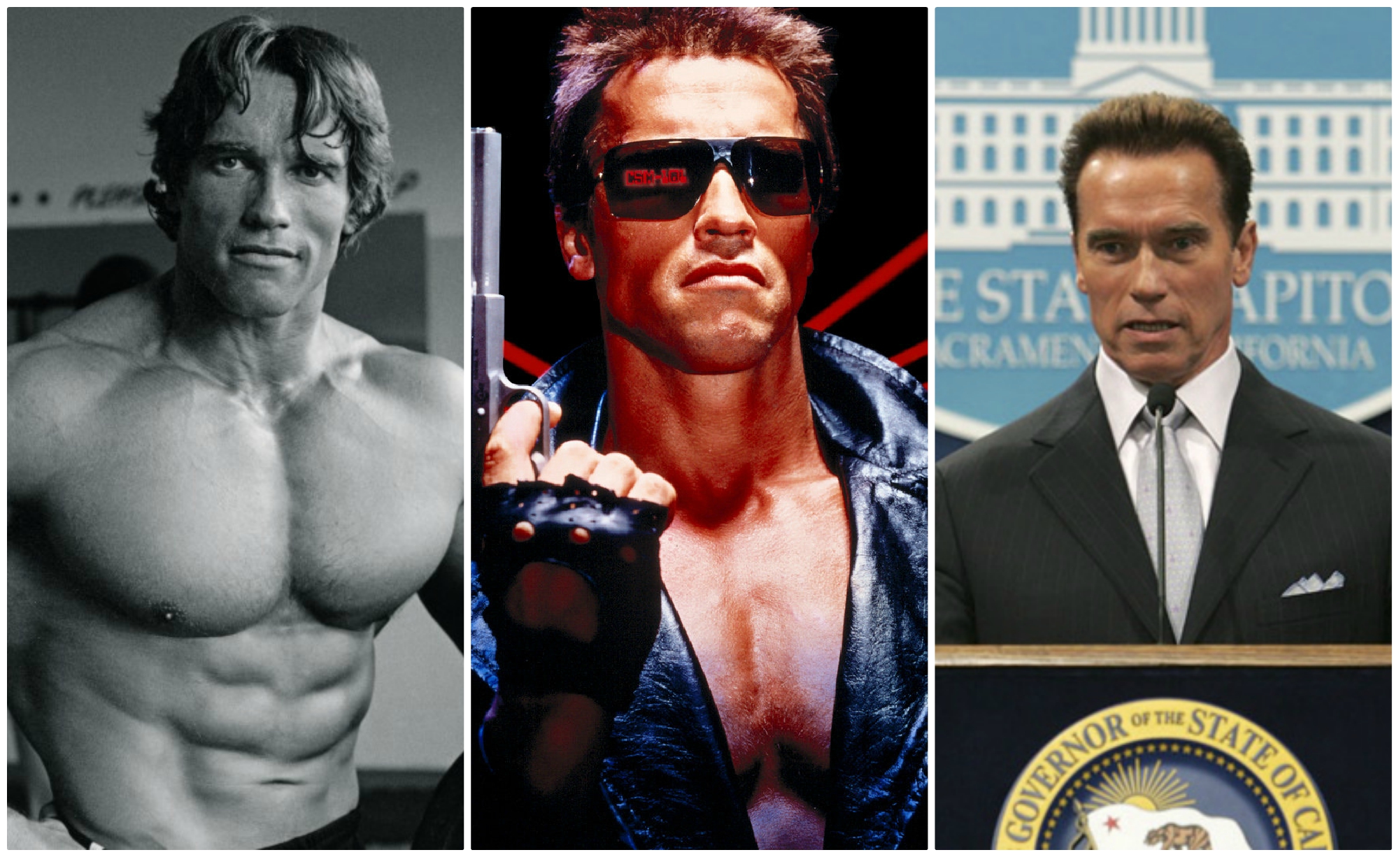 Arnold Schwarzenegger | 8 actores ganando millones de personas para jugar su | Bayas cerebrales