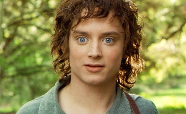 Elijah Wood | 9 estrellas del Gran Hollywood de la década de 2000 | Bayas cerebrales