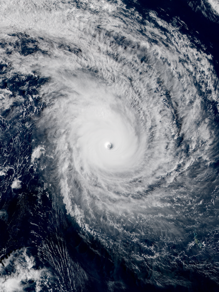 Son geniales | 6 tormentas de hechos increíbles | Bayas cerebrales