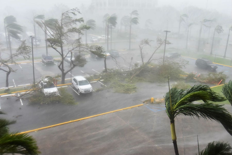 Son poderosos | 6 tormentas de hechos increíbles | Bayas cerebrales