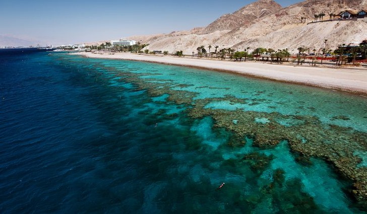 Mar Rojo | 10 fuera de los mares más oscuros del mundo | Bayas cerebrales