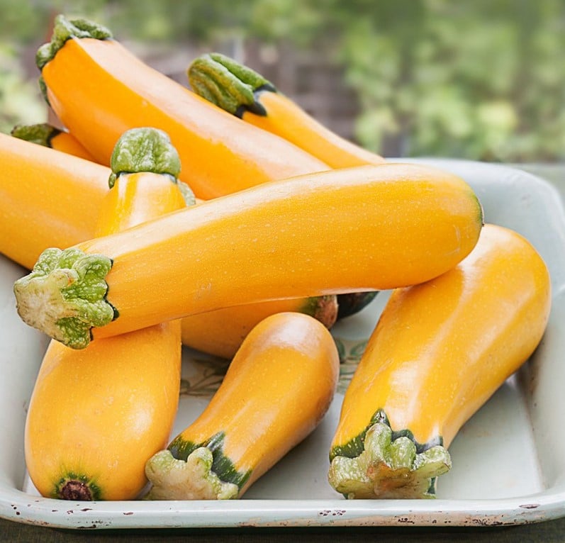 Calabacín amarillo | 6 alimentos generales modificados genéticamente | Bayas cerebrales