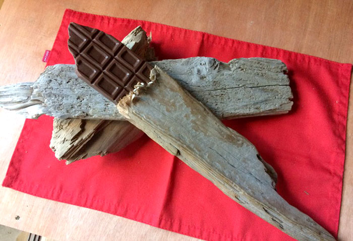 Believe-it o-no-this-Delicious-Meaw-Meals-All-Called-Wood -05