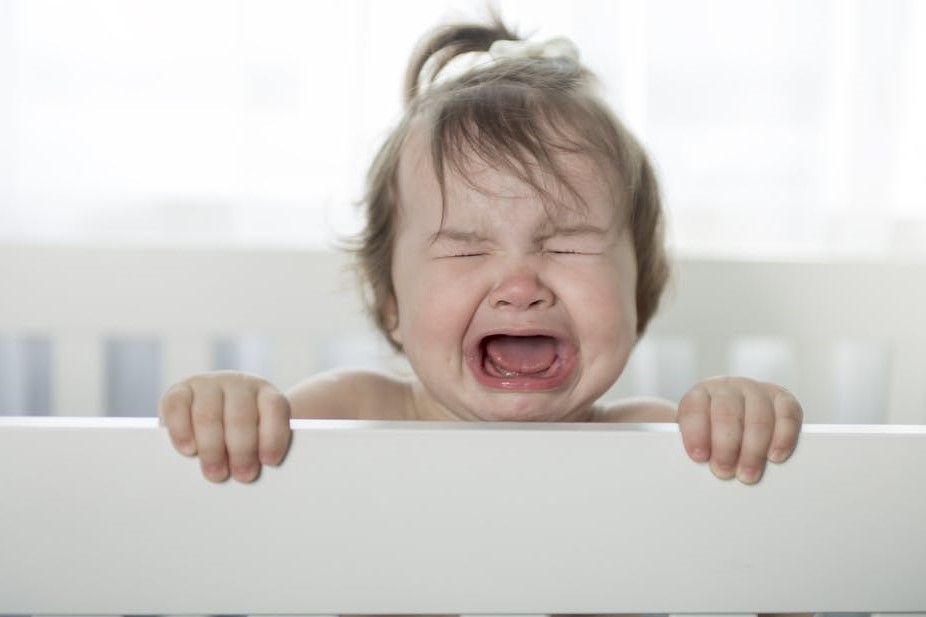 Te ayuda a dormir | 8 beneficios saludables | Bayas cerebrales