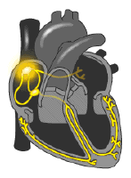 How-items-work-8