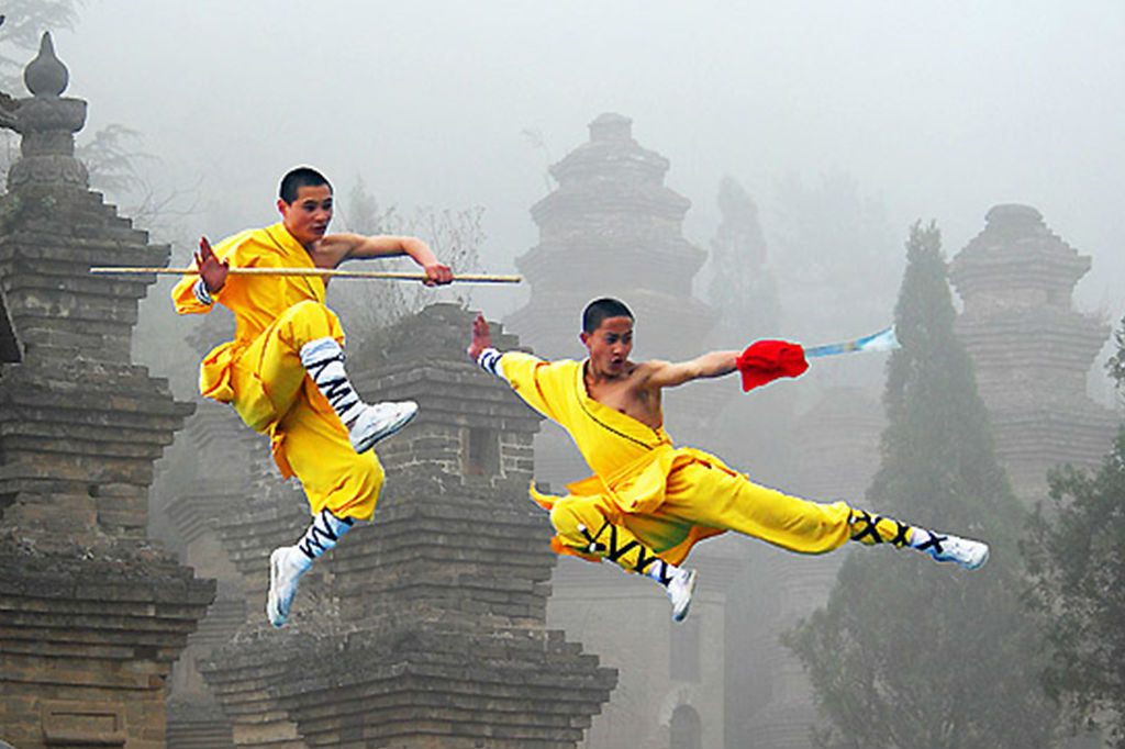 Kung Fu | Disciplina anual de artes marciales | Bayas cerebrales