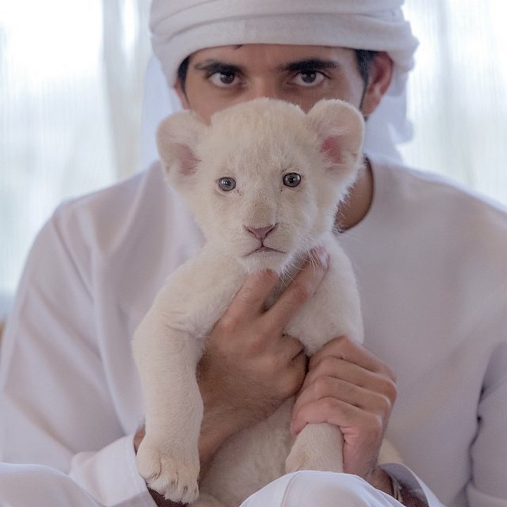 Meet-Reallife-Aladdin-Crown-Prince-of-Dubai-Sheikh-Hamdan-01
