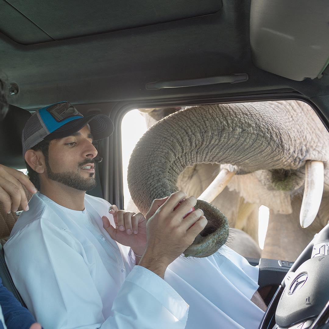 Meet-Reallife-Aladdin-Crown-Prince-of-Dubai-Sheikh-Hamdan-34