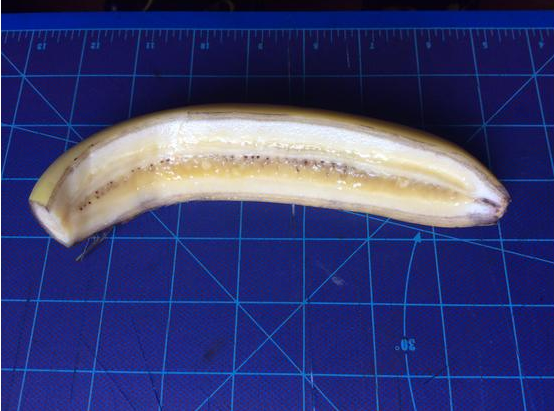 Mesmerizing_pictures_of_things_cut_in_half_46