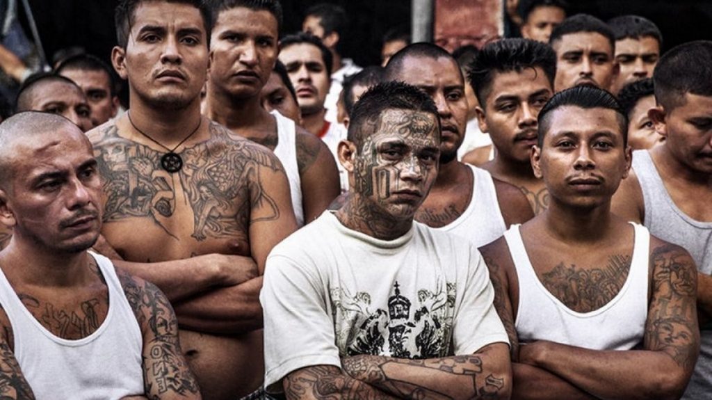 Carteles mexicanos | 7 El crimen más grande y popular del mundo | Bayas cerebrales
