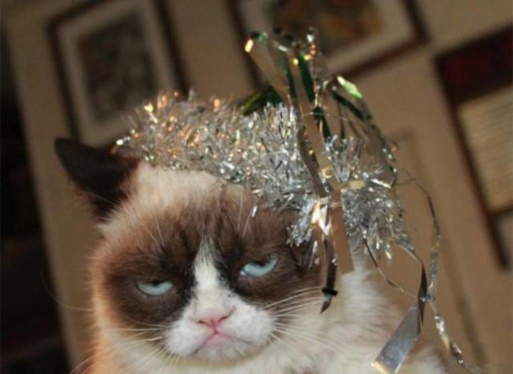 Pobres animales. It-a-lot-bebe-la noche -12 -12