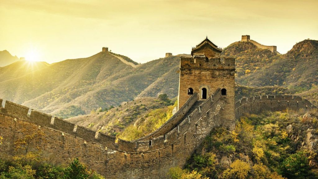     La pared cambia la flora local | ¿Cuál es el secreto del Gran Muro de China? | Bayas cerebrales