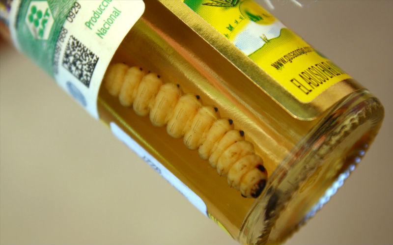 Cosas-estadounidenses-encontrar realmente extraña-niu-mexican -09