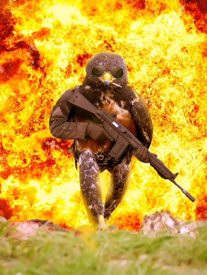 This-Hawk-Photoshop-Battle-Is-Epic-04
