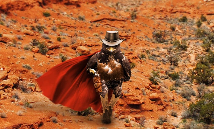 This-Hawk-Photoshop-Battle-Is-Epic-05