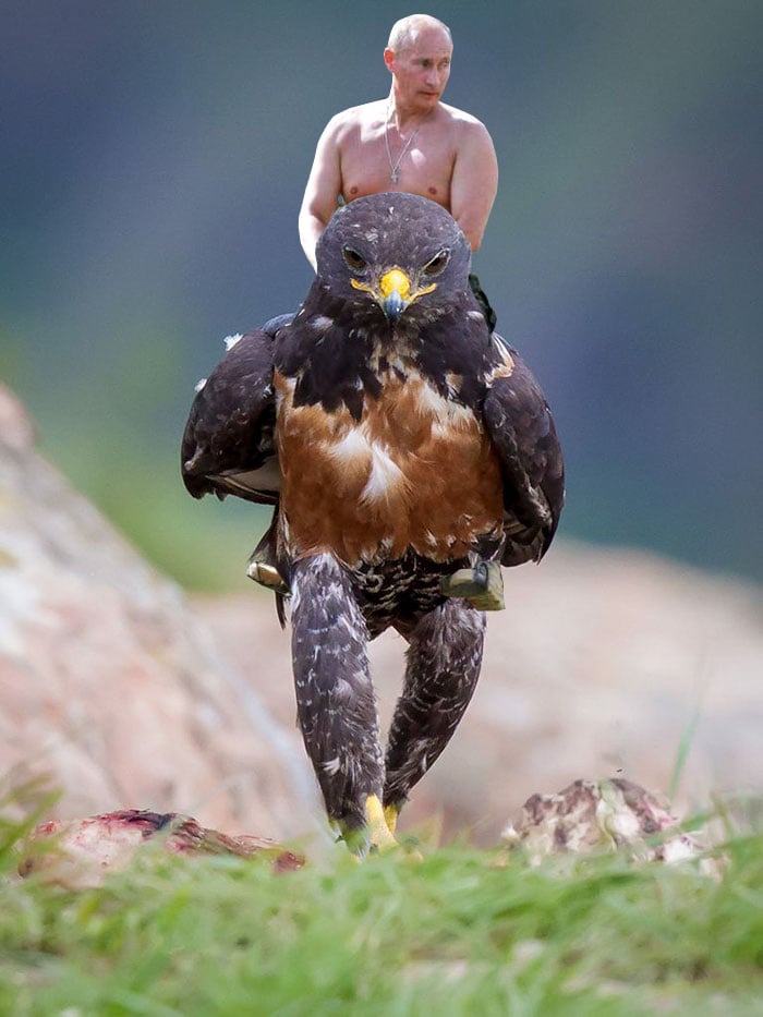 This-Hawk-Photoshop-Battle-Is-Epic-07