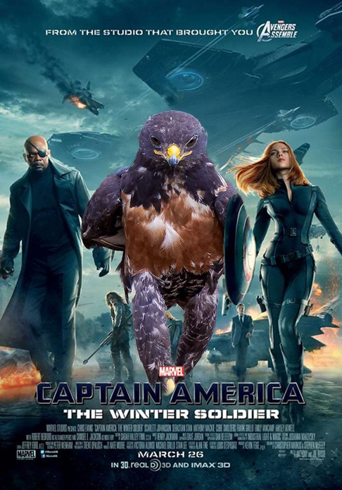 This-Hawk-Photoshop-Battle-Is-Epic-10