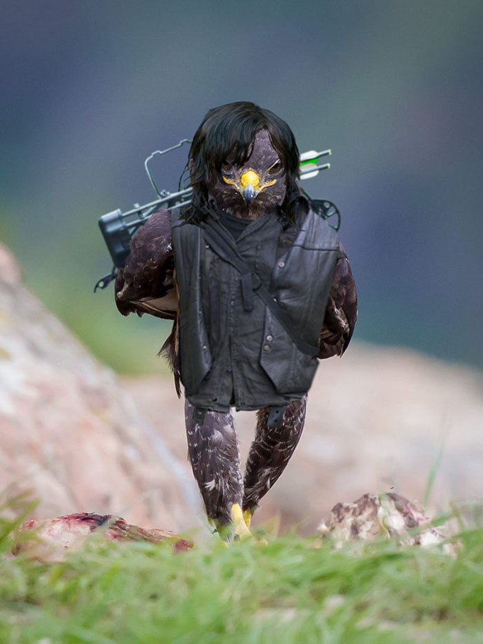 This-Hawk-Photoshop-Battle-Is-Epic-15