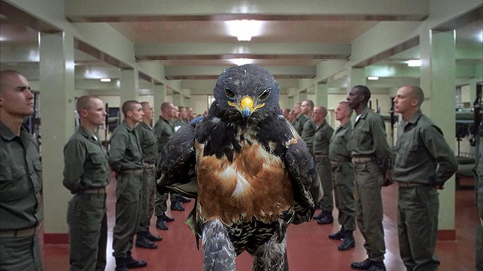 This-Hawk-Photoshop-Battle-Is-Epic-16