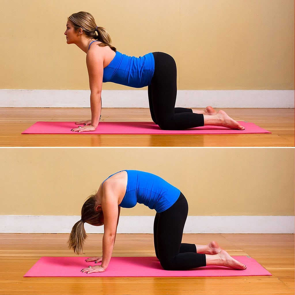 Del gato a la vaca |: 15 posturas de yoga matutinas para principiantes | su belleza