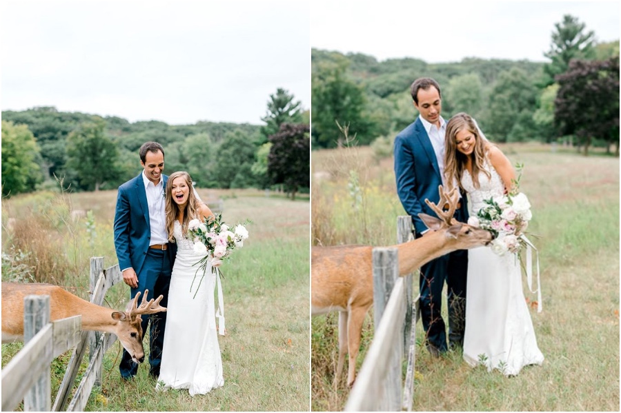 Una sesión de fotos de boda para recordar se ve interrumpida por un ciervo #1 | su belleza
