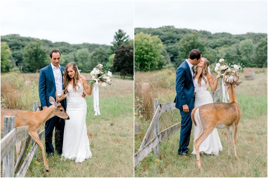 Una sesión de fotos de boda para recordar se ve interrumpida por un ciervo #3 | su belleza