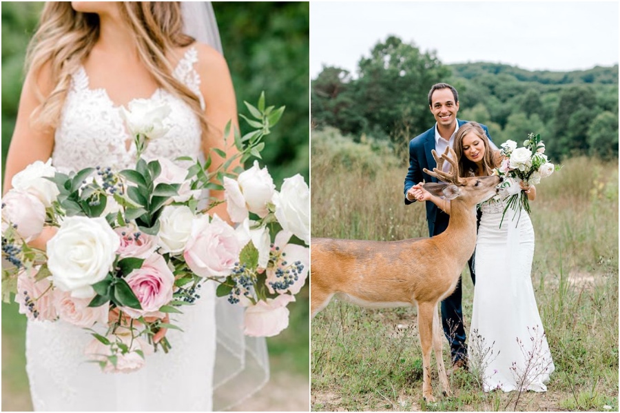 Una sesión fotográfica de boda para recordar se ve interrumpida por un ciervo #6 | su belleza